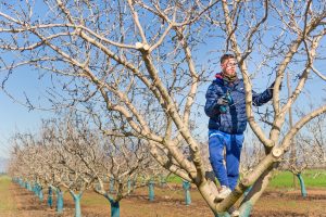 Tι μπλοκάρει τις πληρωμές σε Σχέδια Βελτίωσης και Νέους Αγρότες