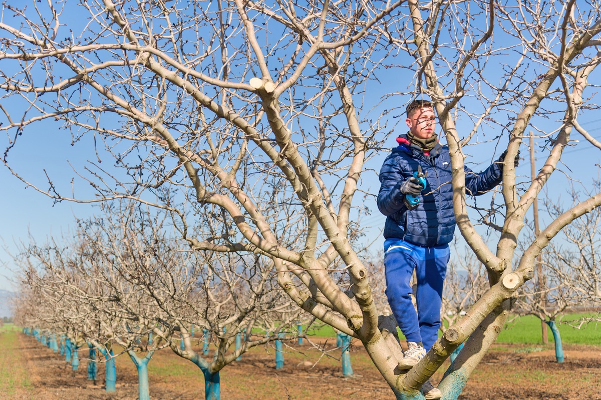 Tι μπλοκάρει τις πληρωμές σε Σχέδια Βελτίωσης και Νέους Αγρότες