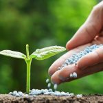 Άνοδος στις τιμές λιπασμάτων απειλεί την παγκόσμια επισιτιστική ασφάλεια