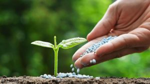 Άνοδος στις τιμές λιπασμάτων απειλεί την παγκόσμια επισιτιστική ασφάλεια