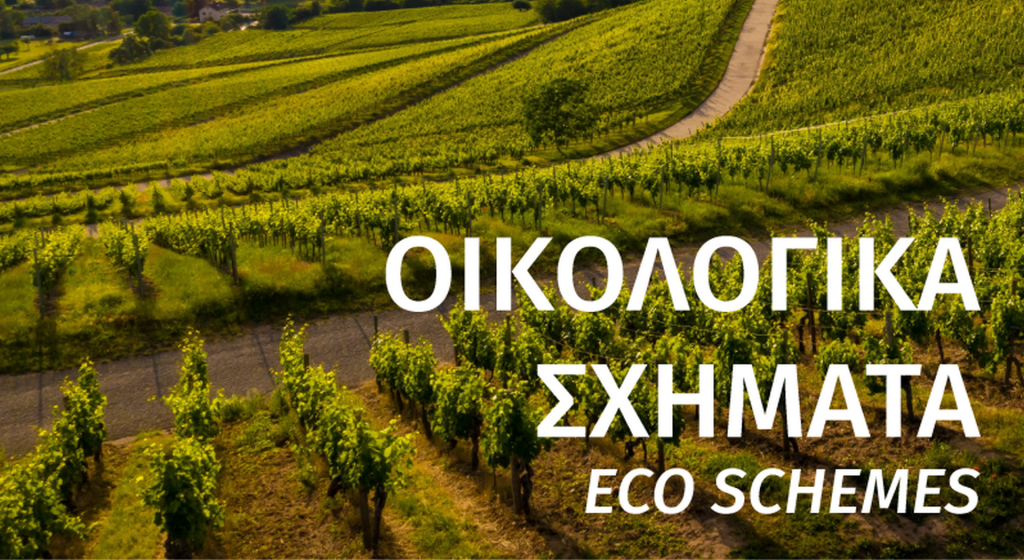 Δυο πληρωμές για Οικολογικά και το «έξτρα» στην εκκαθάριση - Η «παγίδα» που κρύβει η Δράση 31.6 • Έλληνας Αγρότης