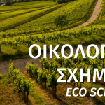 Δυο πληρωμές για Οικολογικά και το «έξτρα» στην εκκαθάριση - Η «παγίδα» που κρύβει η Δράση 31.6 • Έλληνας Αγρότης