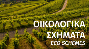 Δυο πληρωμές για Οικολογικά και το «έξτρα» στην εκκαθάριση - Η «παγίδα» που κρύβει η Δράση 31.6 • Έλληνας Αγρότης