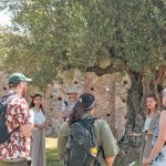 Αισιόδοξα τα πρώτα μηνύματα για τον ελαιοτουρισμό στη Μεσσηνία