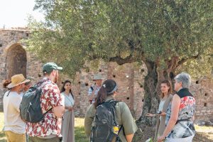 Αισιόδοξα τα πρώτα μηνύματα για τον ελαιοτουρισμό στη Μεσσηνία