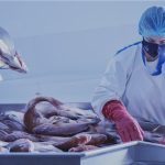 Αύξηση στις ελληνικές εξαγωγές ψαριών ιχθυοκαλλιέργειας το 2025, διείσδυση σε αγορές τρίτων χωρών, πέραν των παραδοσιακών της ΕΕ