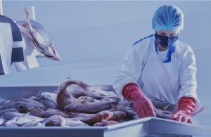 Αύξηση στις ελληνικές εξαγωγές ψαριών ιχθυοκαλλιέργειας το 2025, διείσδυση σε αγορές τρίτων χωρών, πέραν των παραδοσιακών της ΕΕ