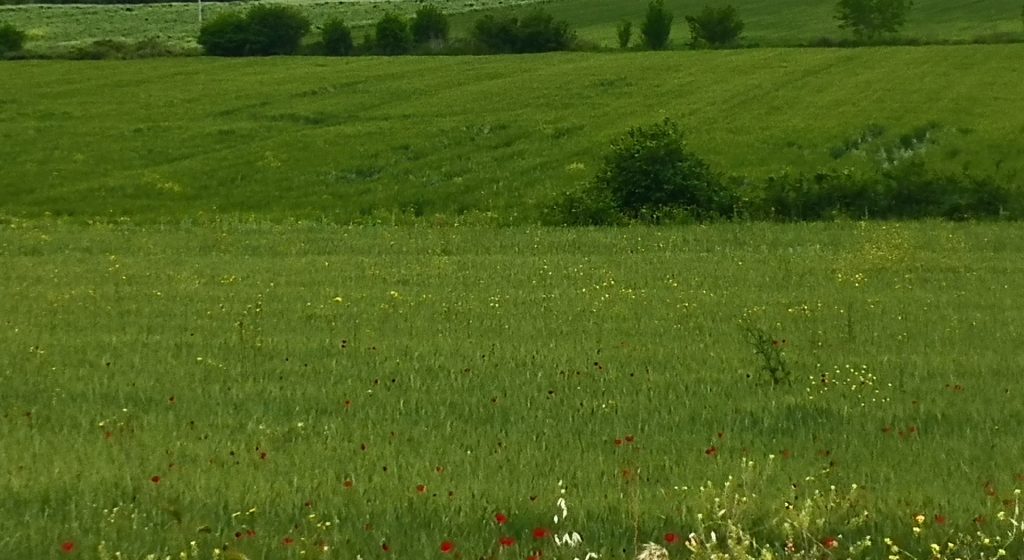 Νέο Εθνικό Σχέδιο Χρήσης Γης προωθεί η Αγγλία • Έλληνας Αγρότης