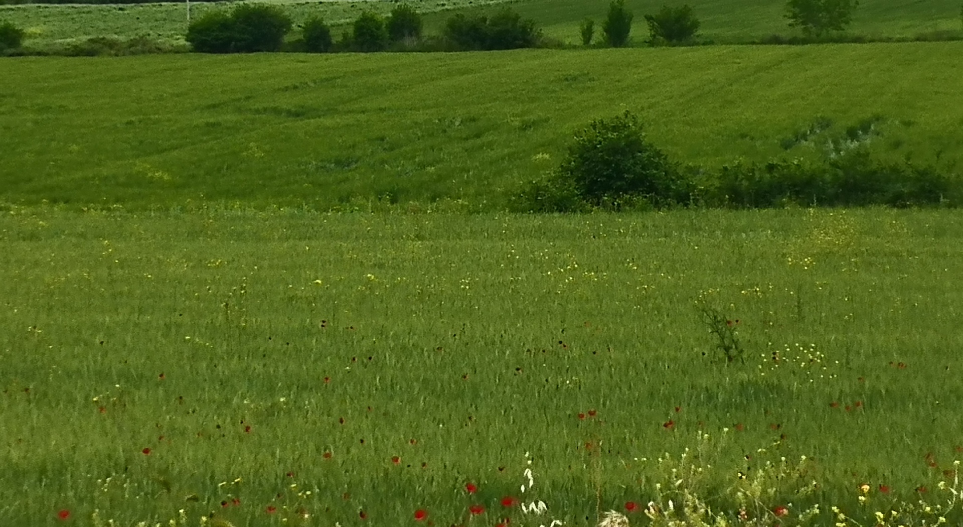 Νέο Εθνικό Σχέδιο Χρήσης Γης προωθεί η Αγγλία • Έλληνας Αγρότης