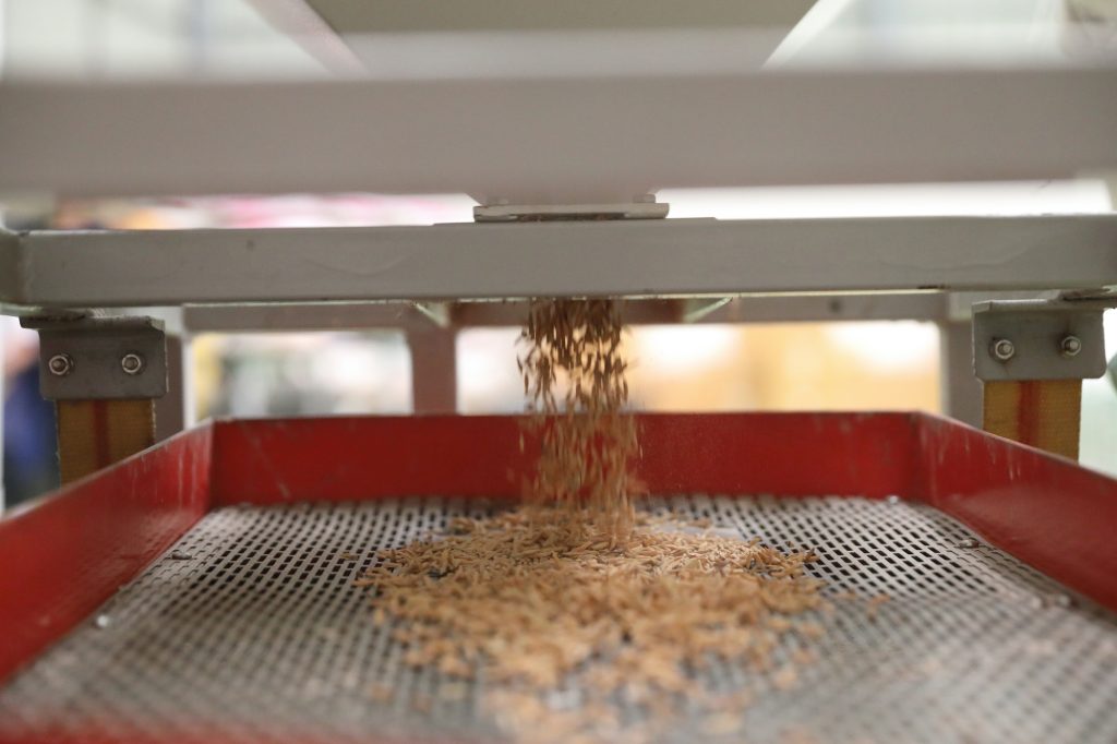 Πλήγμα για το ευρωπαϊκό ρύζι οι εμπορικές συμφωνίες