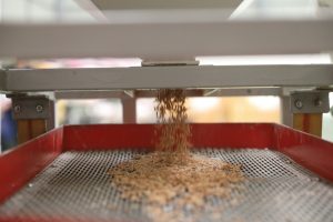 Πλήγμα για το ευρωπαϊκό ρύζι οι εμπορικές συμφωνίες