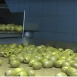 katargisi-dasmon-stis-epitrapezies-elies-apo-tin-india-281802