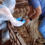 Στις 3 Απριλίου αναλαμβάνει το έκτακτο προσωπικό κατά της ευλογιάς