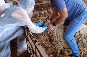 Στις 3 Απριλίου αναλαμβάνει το έκτακτο προσωπικό κατά της ευλογιάς