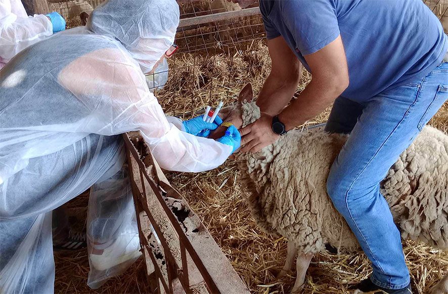 Στις 3 Απριλίου αναλαμβάνει το έκτακτο προσωπικό κατά της ευλογιάς