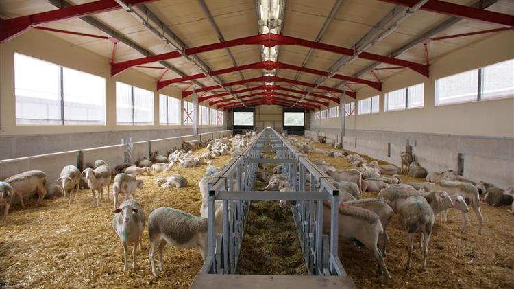 ΔΥΠΑ: Ξεκίνησαν οι αιτήσεις για το πρόγραμμα εργασιακής εμπειρίας σε κτηνοτροφικές επιχειρήσεις της Θεσσαλίας