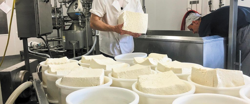 v-kokkalis-kindynos-simantikis-meiosis-tis-paragogis-fetas-kai-adiexodo-stis-adeiodotiseis-ktinotrofikon-monadon-244527