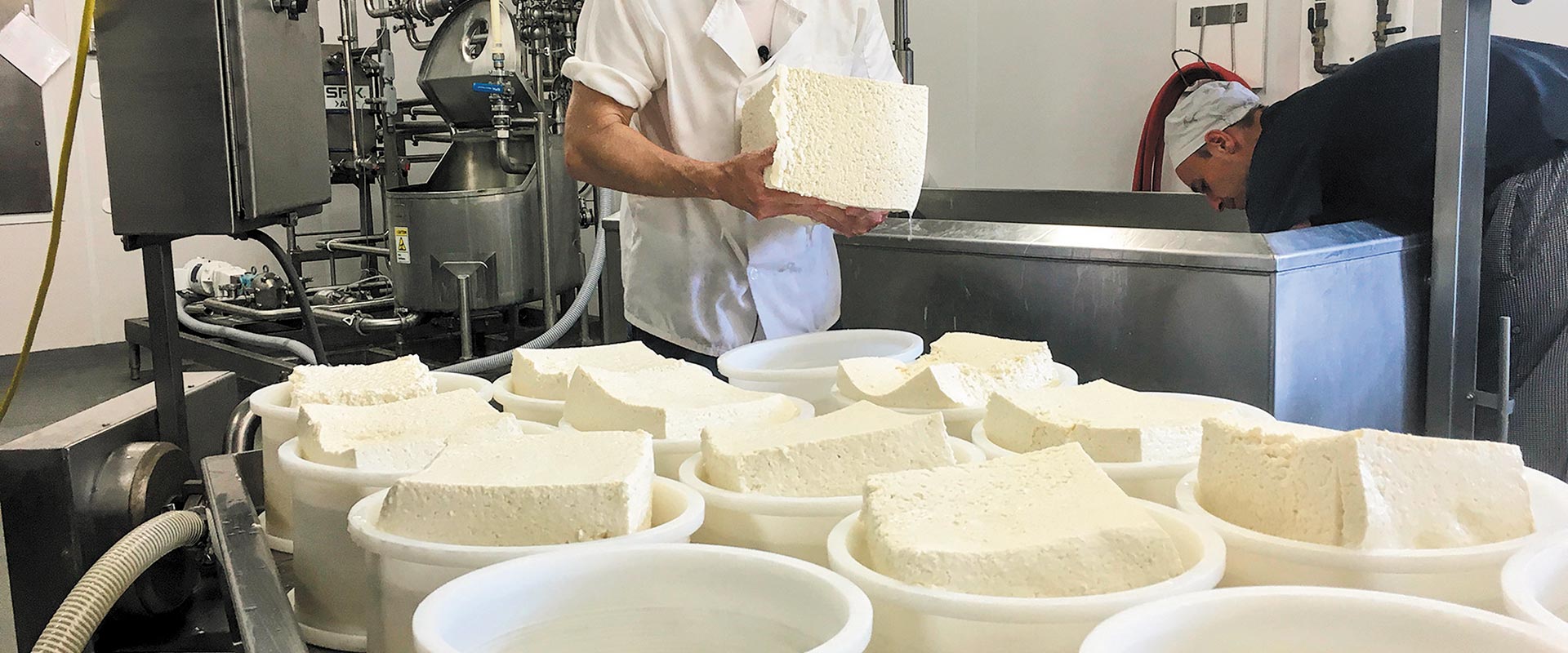 v-kokkalis-kindynos-simantikis-meiosis-tis-paragogis-fetas-kai-adiexodo-stis-adeiodotiseis-ktinotrofikon-monadon-244527