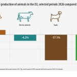 Σημαντική πτώση της ζωικής παραγωγής στην ΕΕ εντός 2026 προβλέπει η Eurostat