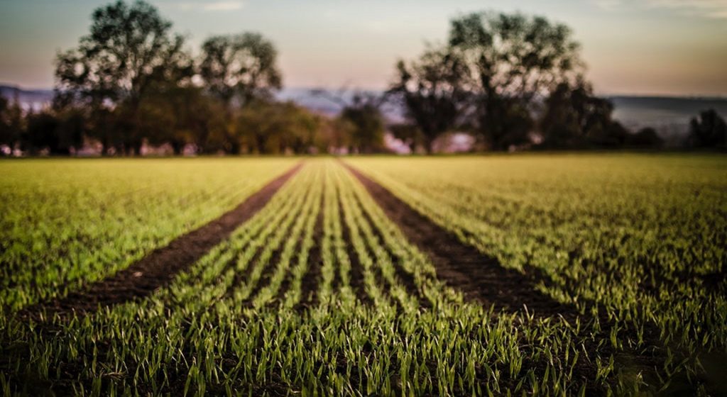 Στα 23 εκατ.€ οι εκκρεμότητες προς συμβούλους στα γεωργικά επαγγέλματα (Έγγραφο) • Έλληνας Αγρότης
