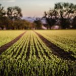 Στα 23 εκατ.€ οι εκκρεμότητες προς συμβούλους στα γεωργικά επαγγέλματα (Έγγραφο) • Έλληνας Αγρότης