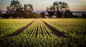 Στα 23 εκατ.€ οι εκκρεμότητες προς συμβούλους στα γεωργικά επαγγέλματα (Έγγραφο) • Έλληνας Αγρότης