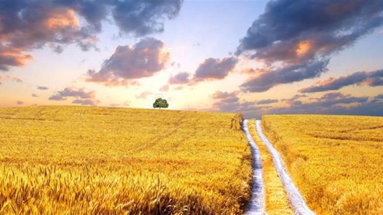 Τον κίνδυνο καθυστερήσεων στις αγροτικές ενισχύσεις λόγω ΑΤΑΚ και ΚΑΕΚ επισημαίνει με ερώτηση ο Β. Κόκκαλης