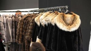 Κεφαλογιάννης: "Όχι" στο καθολικό λουκέτο στη γουνοποιία