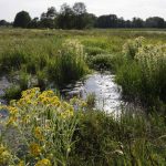 Η Ελλάδα με 8,9 εκατ. ευρώ στα 7 στρατηγικά έργα LIFE της ΕΕ