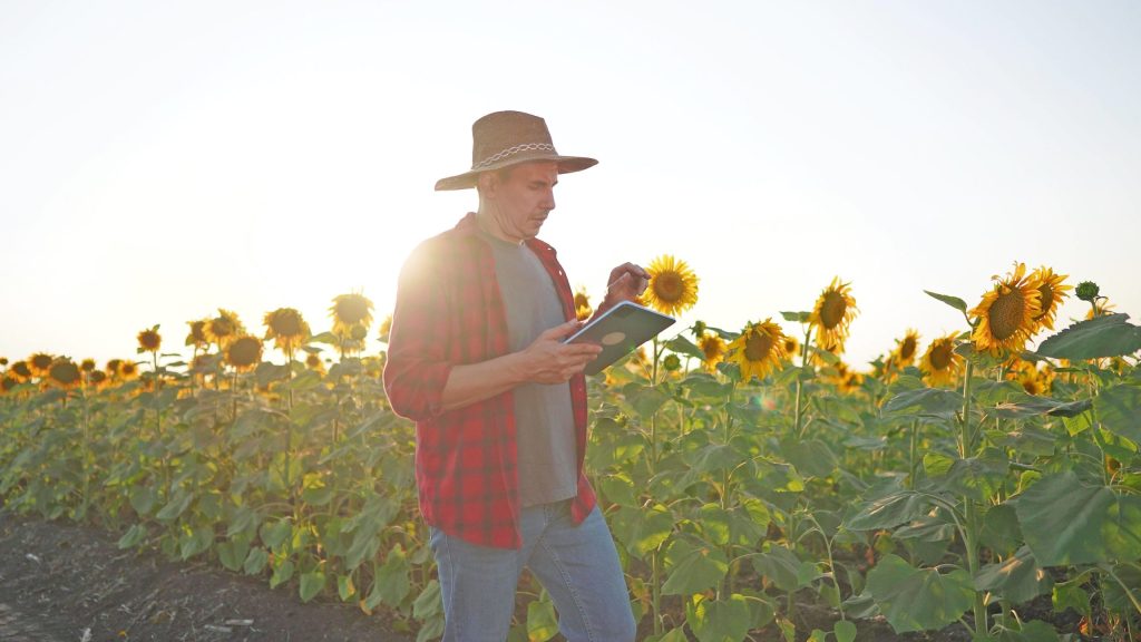 Η συµβολαιακή γεωργία και το χαµηλό κόστος ενισχύουν την επιλογή των παραγωγών