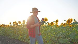 Η συµβολαιακή γεωργία και το χαµηλό κόστος ενισχύουν την επιλογή των παραγωγών