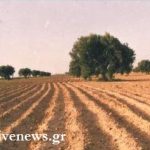 Αυξημένες οι τυνησιακές εξαγωγές φέτος κατά 55,7 % με πτώση τιμών 3,2%