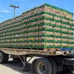 Μόνο τα τρόφιμα αύξησαν τις ελληνικές εξαγωγές τον Ιανουάριο