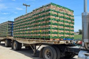 Μόνο τα τρόφιμα αύξησαν τις ελληνικές εξαγωγές τον Ιανουάριο