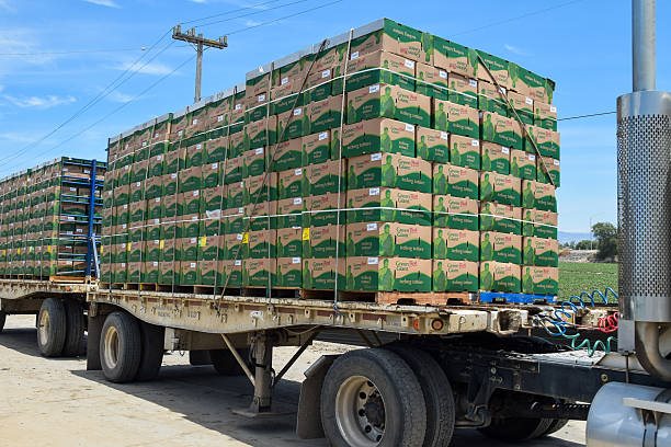 Μόνο τα τρόφιμα αύξησαν τις ελληνικές εξαγωγές τον Ιανουάριο