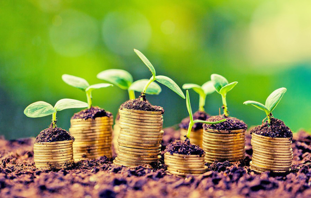 ΕΛΣΤΑΤ: Σε ανοδική πορεία οι τιμές παραγωγού