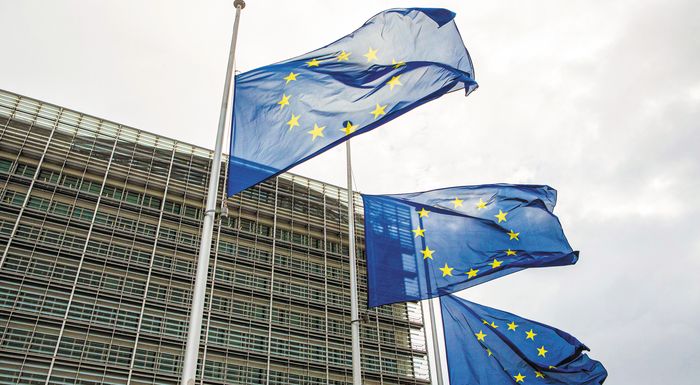 eisagoges-agrodiatrofikon-proionton-amoivaiotita-protypon-kai-elegchoi-se-ekkremotita-272993