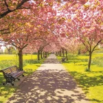 Χωρίς χρονοδιάγραμμα οι αποζημιώσεις για προανθικό - Ο ΕΛΓΑ ολοκλήρωσε τις εκτιμήσεις και αναζητά πόρους • Έλληνας Αγρότης