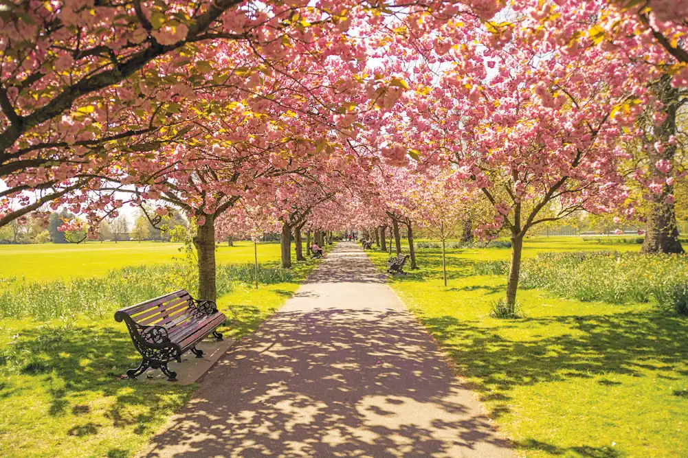 Χωρίς χρονοδιάγραμμα οι αποζημιώσεις για προανθικό - Ο ΕΛΓΑ ολοκλήρωσε τις εκτιμήσεις και αναζητά πόρους • Έλληνας Αγρότης