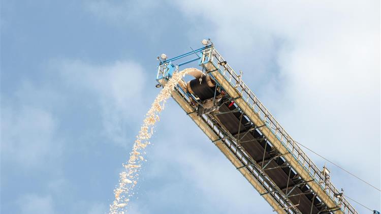 Οι αυξημένες τιμές λιπασμάτων πιέζουν τους Αμερικανούς αγρότες