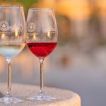 Σε πλήρη εξέλιξη το πρόγραμμα Messinia Terroirs