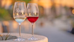 Σε πλήρη εξέλιξη το πρόγραμμα Messinia Terroirs