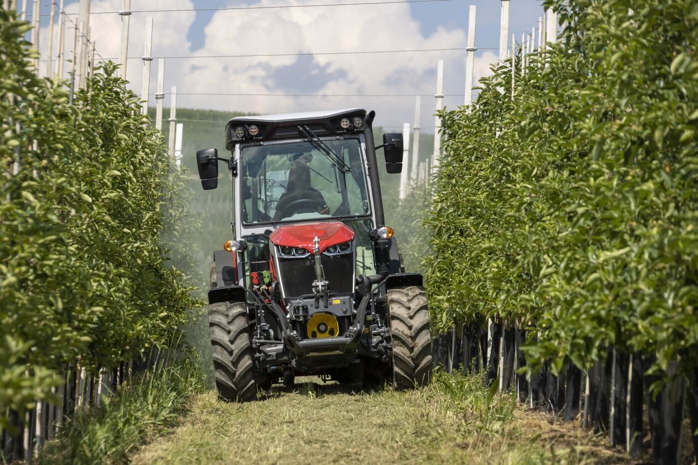 Ευελιξία για την επιδότηση δενδροκομικού ως 80 ίππων από τα Σχέδια Βελτίωσης