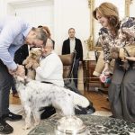 Συνάντηση Μητσοτάκη με Έλληνες που επαναπατρίστηκαν από τη Μέση Ανατολή μαζί με τα ζώα συντροφιάς τους