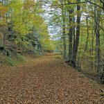 Δράμα: Υπεγράφη η σύμβαση για τη δημιουργία δικτύου μονοπατιών και πεζοπορίας