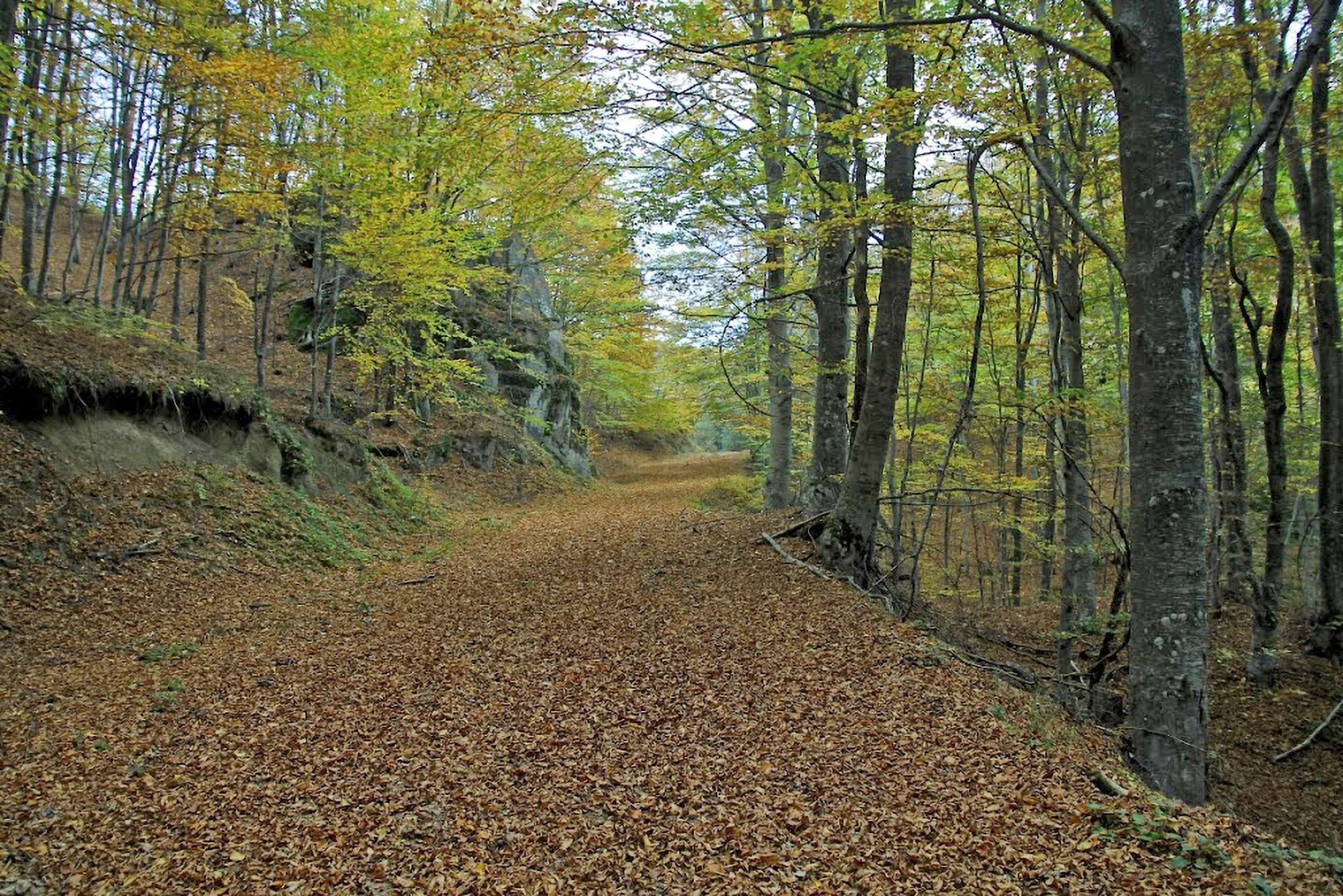 Δράμα: Υπεγράφη η σύμβαση για τη δημιουργία δικτύου μονοπατιών και πεζοπορίας