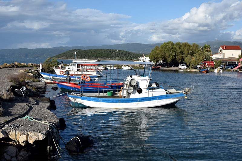 Μείωση αλιευμάτων έως και 50% στον Αμβρακικό Κόλπο