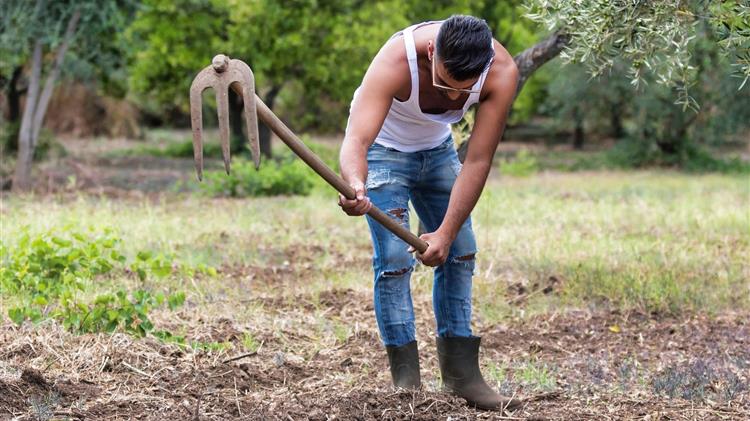 Τι λέει το ΥΠΑΑΤ για Σχέδια Βελτίωσης και τις καθυστερήσεις στους Νέους Αγρότες
