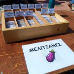 Κομοτηνή: Οι “Σπορίτες Ροδόπης” μοίρασαν και φέτος χιλιάδες σπόρους παραδοσιακών ποικιλιών κηπευτικών