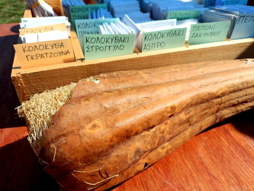 Κομοτηνή: Οι “Σπορίτες Ροδόπης” μοίρασαν και φέτος χιλιάδες σπόρους παραδοσιακών ποικιλιών κηπευτικών